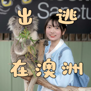 15 普通女孩:澳洲打工度假赚到“第一桶金”,快乐搞钱,自由人生!