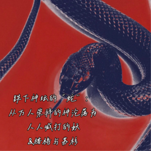 EP5 跌下神坛的“蛇”—— 从万人崇拜的神沦为人人喊打的妖