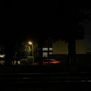 47.「SET」风吹过我🎵