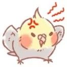 刀刀Maud