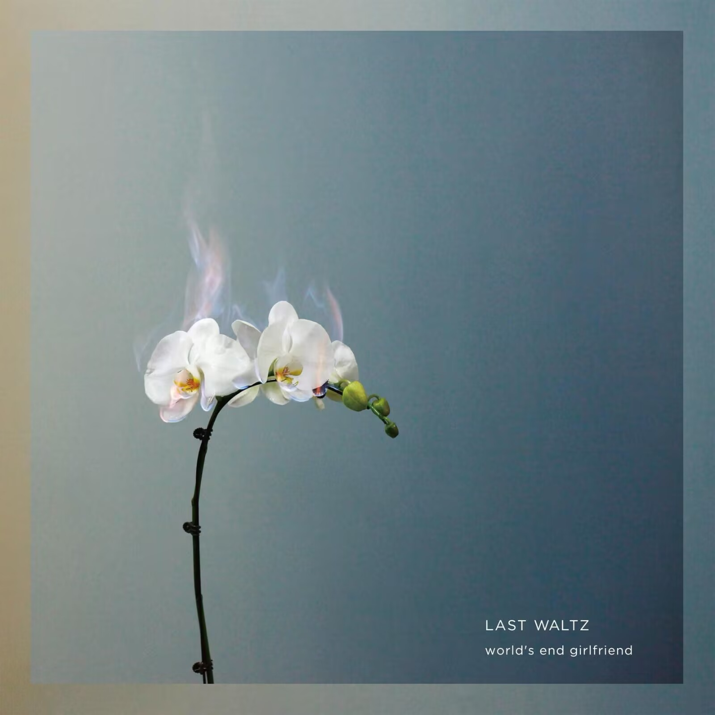 World's End Girlfriend - LAST WALTZ episode artwork
