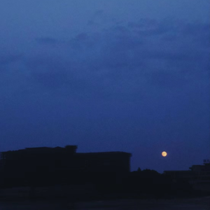 Vol.14 从故乡到新家园：回家路漫漫，重构心之乡