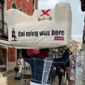 对话蔡明：必须“不择手段”地改变自己