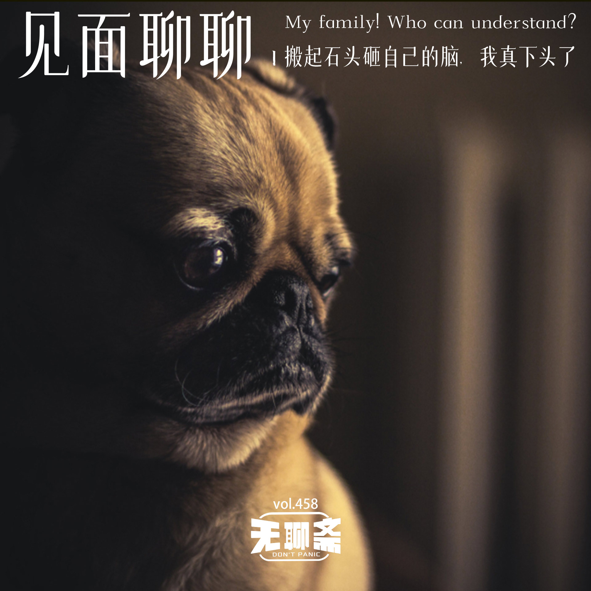 vol.458【见面聊聊】搬起石头砸自己的脑，我真下头了