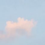 罗夏r