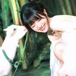 衿夏