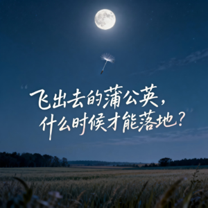 vol.53 流动中的成长，飞出去的蒲公英，什么时候才能落地？