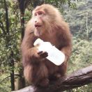 啵啵啵啵啵啵_lv6e