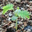 明天会更好_Xkd8