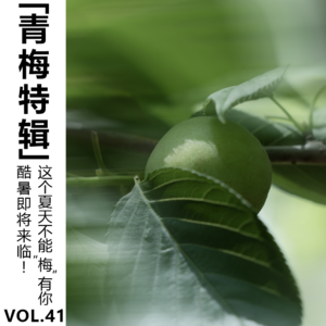 Vol.41【青梅特辑】酷暑即将来临!这个夏天不能"梅"有你