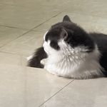 人生一场兴替