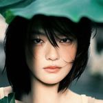 小狗在途中