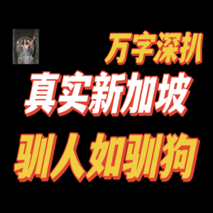 万字硬核深扒——新加坡，真是润人天堂？