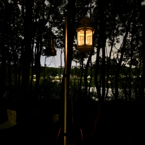 vol. 45 纹身: 血液与墨水相吻