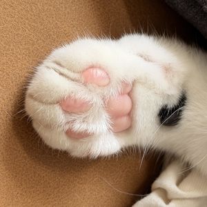 No.040-不辞职、每天1小时：一个00后如何靠跨境电商月入过万？