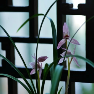 自我成长/No.1：你只是做自己，就会有人来爱你。