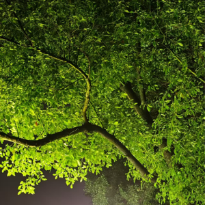 S1E8 心理学硕士如何用学科知识改变生活？