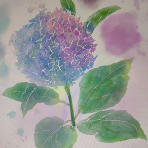 《夏摩山谷》——逃避繁杂红尘之所在 上集