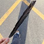 周小小周