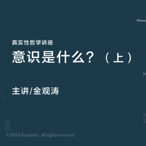 金观涛:意识是什么?(上)| 真实性哲学系列讲座