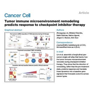1655-Tumor Immune Microenvironment Remodeling