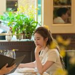 邪恶圆脸小猫咪