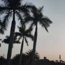 小小怪下士_rd9p