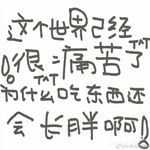 灾后重建乐园