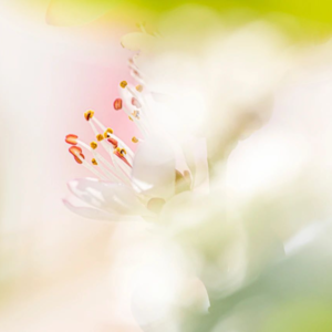 No.29-为什么有时候对不上焦？