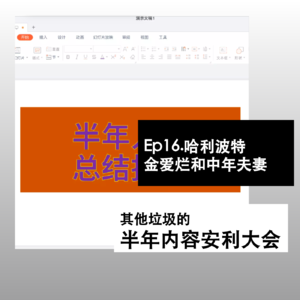 Ep16. 哈利波特、金爱烂和中年夫妻，其他垃圾的半年内容安利大会