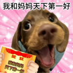 vol.14 和我妈聊完这些，才发现我们是那1%的母女