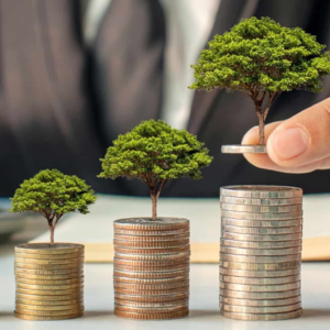 关于投资的迷思