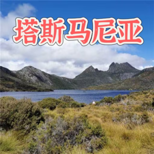 1. 塔斯！塔斯马尼亚！！澳洲的荒野迪士尼