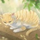 白夜不归宿