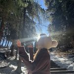 小王子的菠萝包