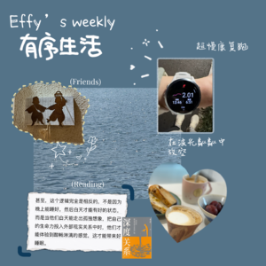 12.从盯着镜子里的自己，到蹲下看蚂蚁，世界会治愈我
