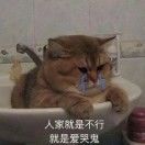 ycsxpyq