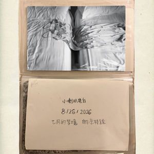 EP026 农历七月的纳凉歌单 古典浪漫主义 印象主义 德彪西 萨蒂 李斯特 拉威尔 舒曼 艾爾加