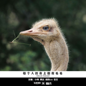 703.每个人的身上都有毛毛