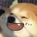 Yu_VXFI