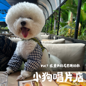 vol.9 在夏天尾巴听的歌