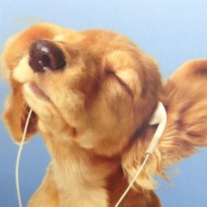 podcaster-avatar