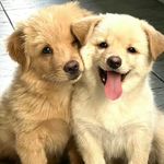 我是来大饱耳福的