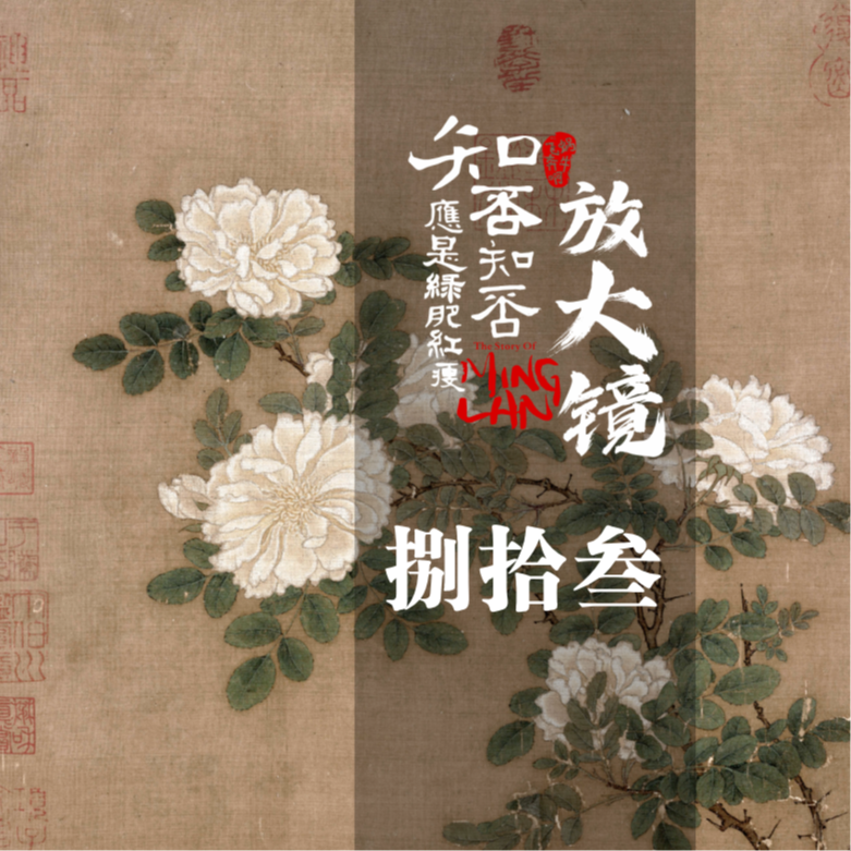 知否放大镜83：齐衡卷土重来的背后 episode artwork