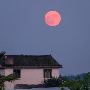 女博士回乡：我读书多，不是为了怼老太太时反应快一点