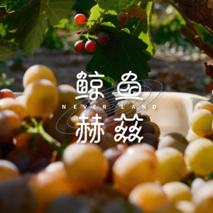 Vol.258 别轻易开酒庄，但葡萄酒可以适量饮用