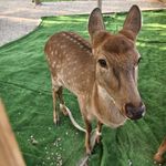 我叫什么名好ne