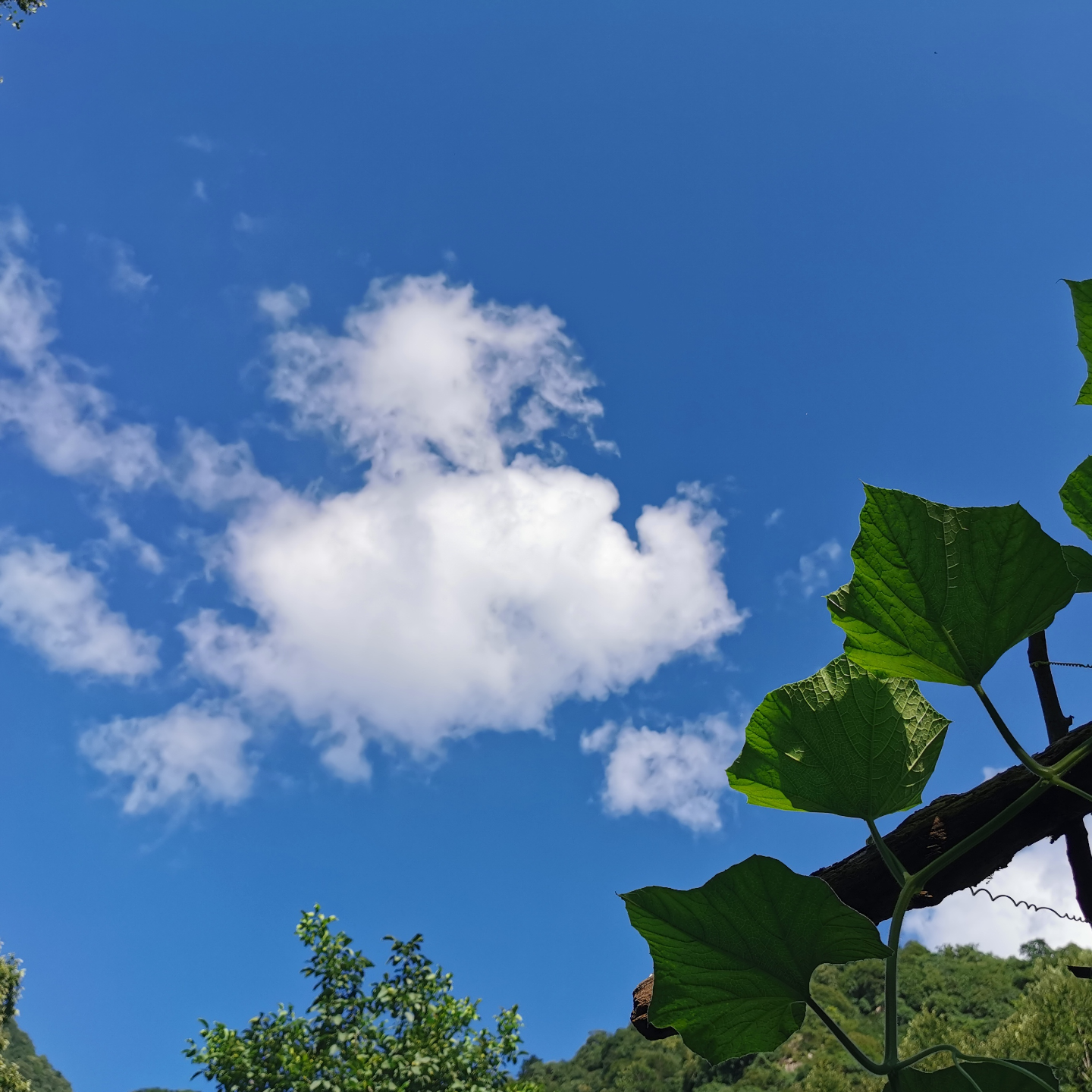 cover of episode 宠辱若惊|道友低谷期睡不着，高峰期也睡不着的原因