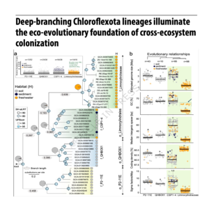 835-Eco-evolutionary of cross-ecosystem colonization