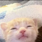 于我而言可爱的你